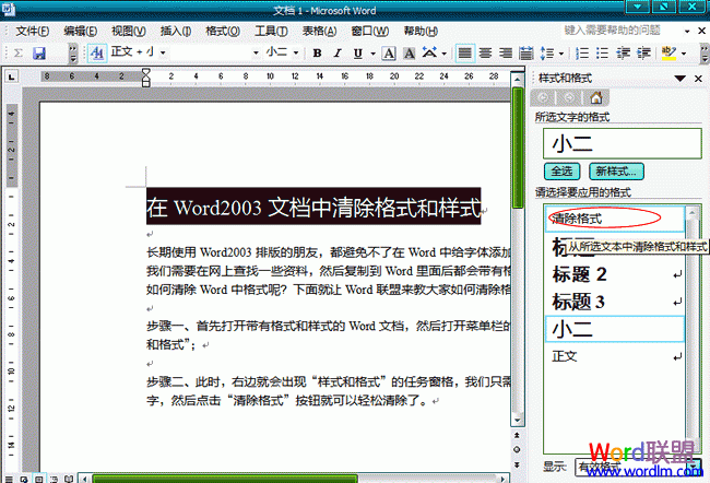 word文档如何清除样式 在Word2003文档中清除格式和样式