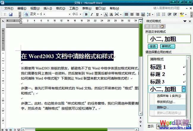 word文档如何清除样式 在Word2003文档中清除格式和样式