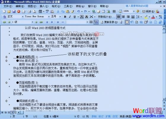 word页面视图,大纲视图 Word2003中页面视图、大纲视图详细说明