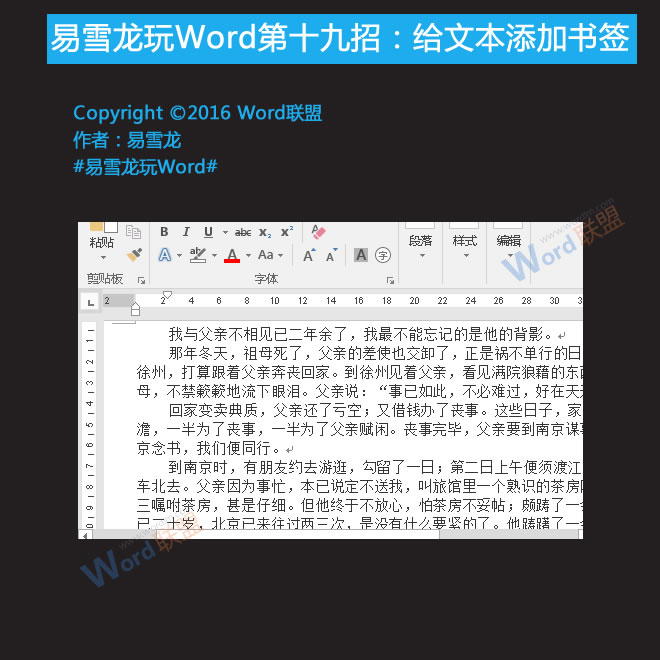 word添加书签 给文本添加书签：易雪龙玩Word第十九招