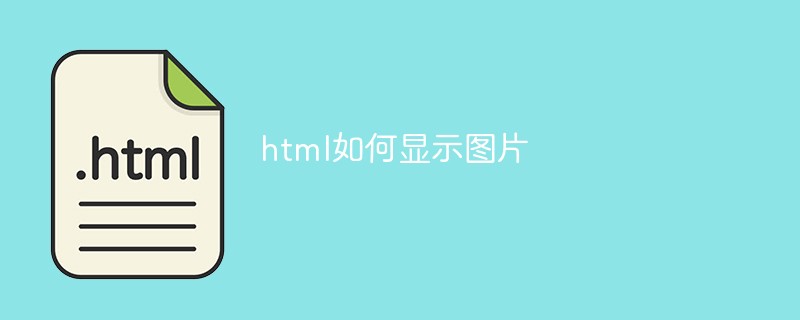 html如何显示图片