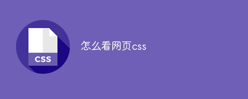 怎么看网页css