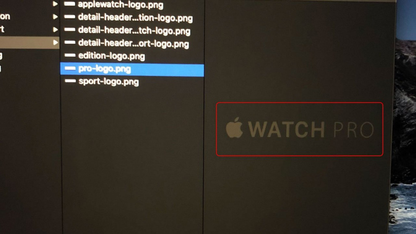 苹果“Apple Watch Pro”品牌名称 Logo 曝光