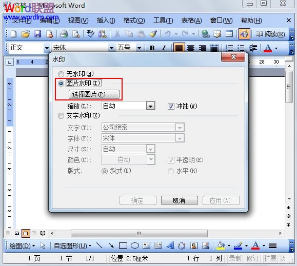 word如何添加水印 Word2003图片水印的添加方法