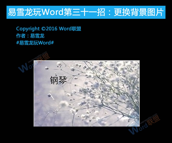 word更换背景图片 更换背景图片：易雪龙玩Word第三十一招