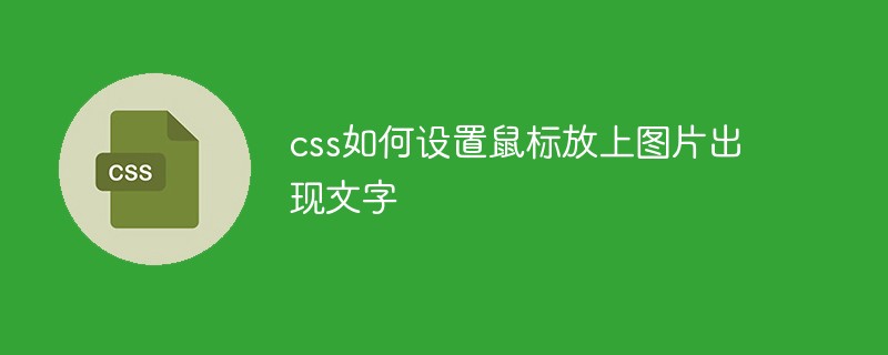 css如何设置鼠标放上图片出现文字