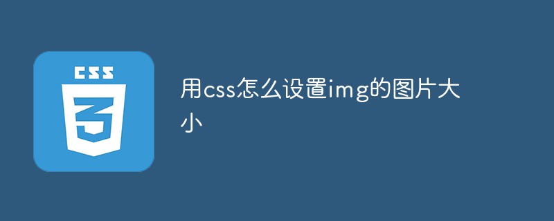 用css怎么设置img的图片大小