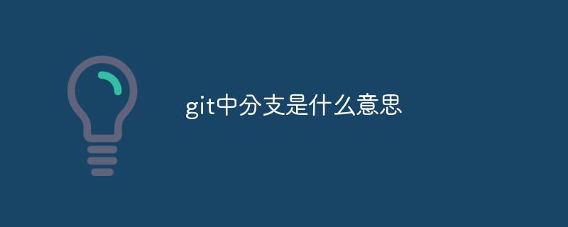 git中分支是什么意思