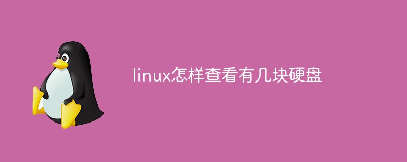 linux怎样查看有几块硬盘