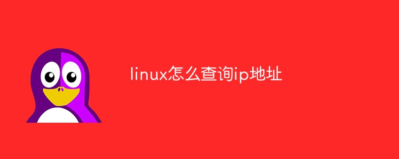 linux怎么查询ip地址