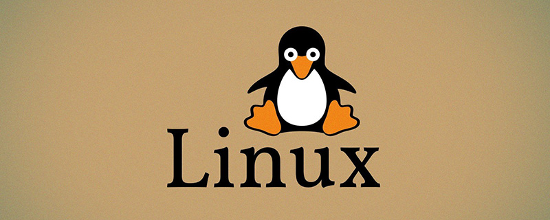 Linux环境变量配置的6种方法，建议收藏！