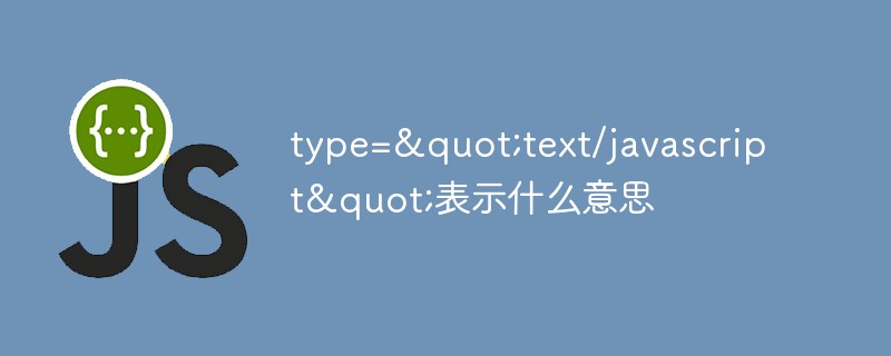 type=&quot;text/javascript&quot;表示什么意思