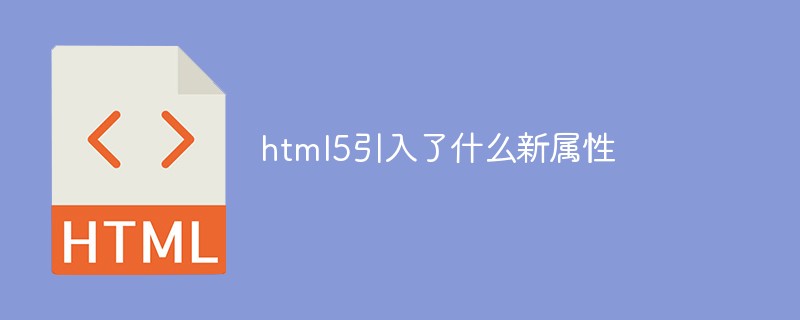 html5引入了什么新属性