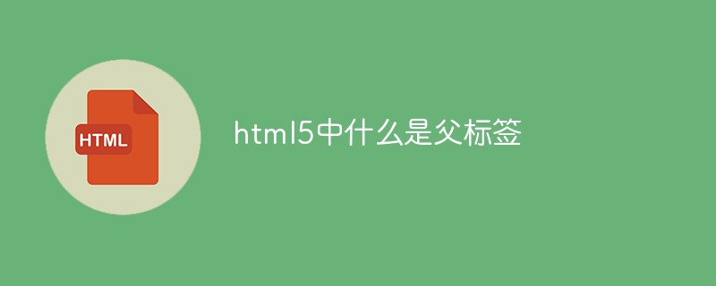 html5中什么是父标签