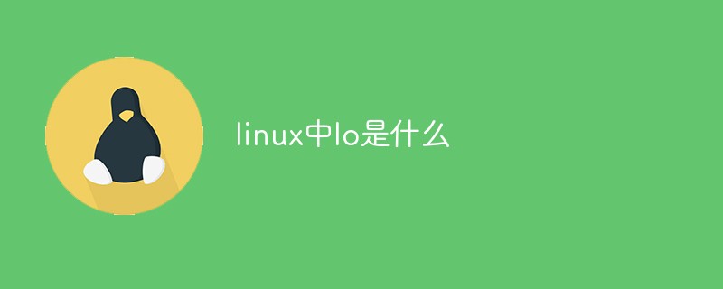 linux中lo是什么