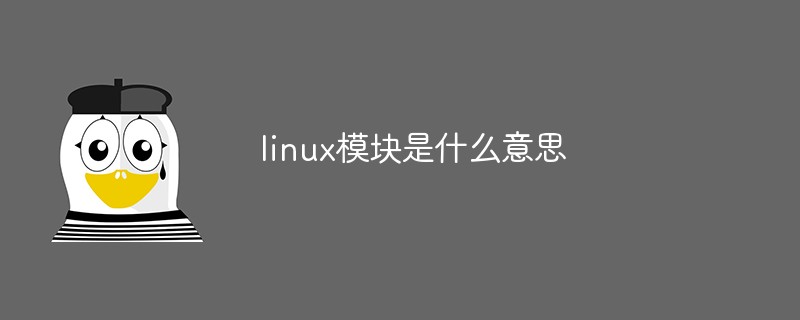 linux模块是什么意思