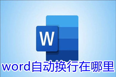 word自动换行在哪里 word自动换行的设置方法介绍