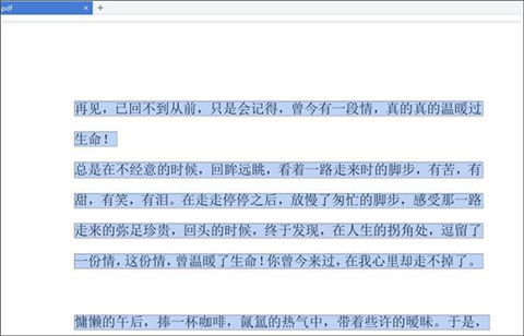 怎么把pdf文件转换成word 把pdf文件转换成word的方法