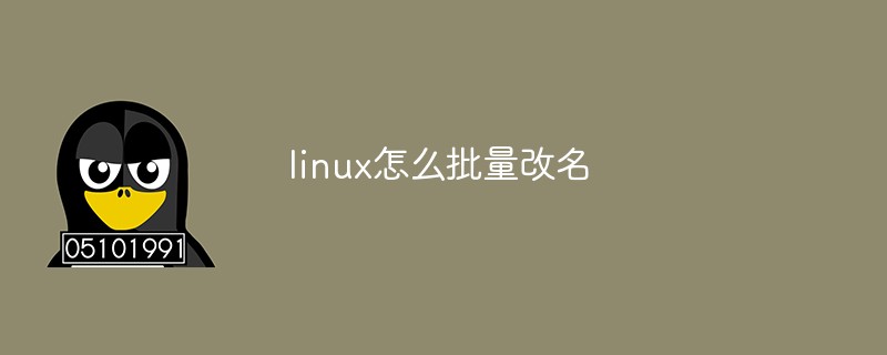 linux怎么批量改名