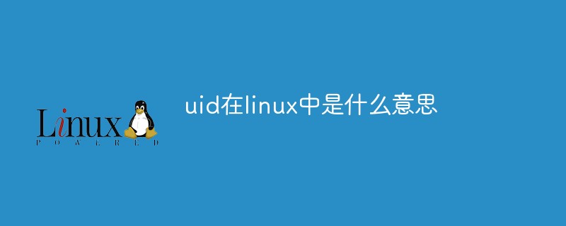 uid在linux中是什么意思