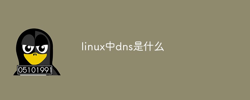 linux中dns是什么