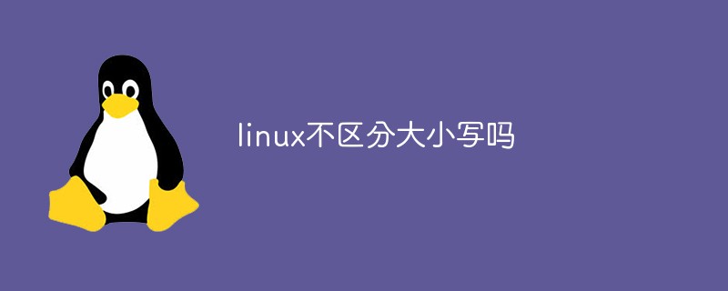 linux不区分大小写吗