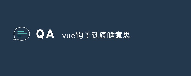 vue钩子到底啥意思