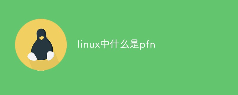 linux中什么是pfn