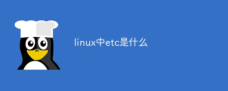 linux中etc是什么