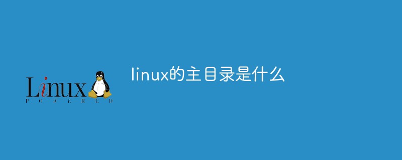 linux的主目录是什么