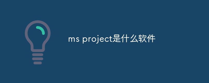 ms project是什么软件