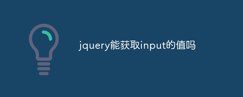 jquery能获取input的值吗