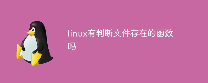 linux有判断文件存在的函数吗