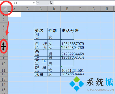 行高在excel表哪里调 行高在excel表中的四种快捷调整方法