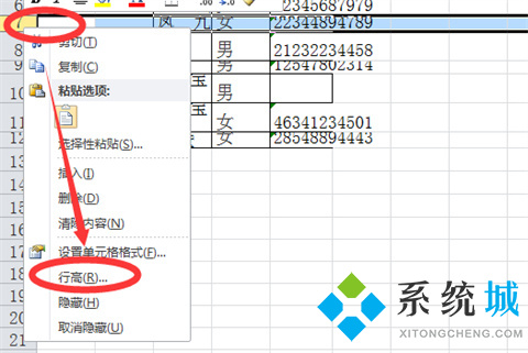 行高在excel表哪里调 行高在excel表中的四种快捷调整方法