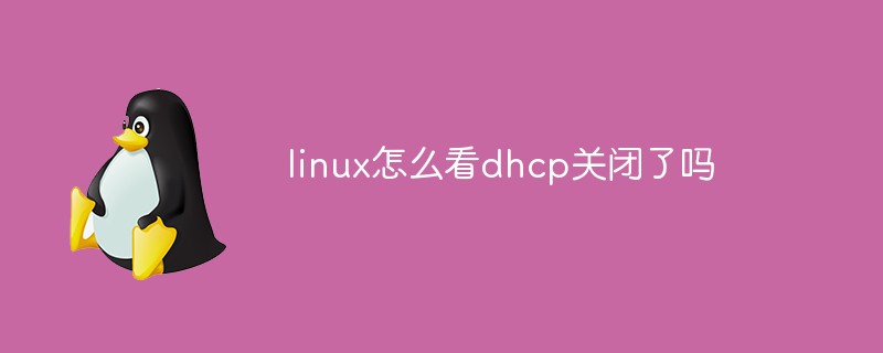 linux怎么看dhcp关闭了吗