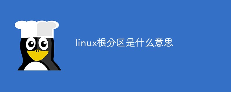 linux根分区是什么意思