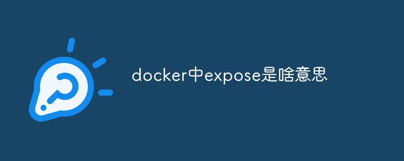 docker中expose是啥意思