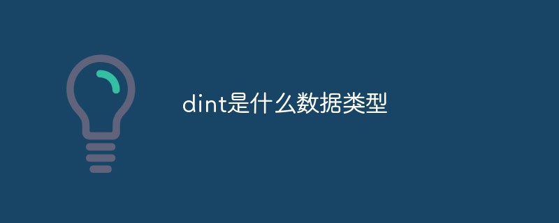 dint是什么数据类型