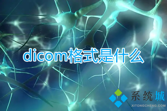 dicom格式是什么 dicom格式具体介绍