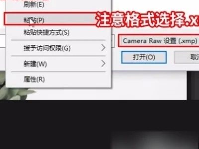 xmp是什么格式的文件 xmp格式文件用什么打开