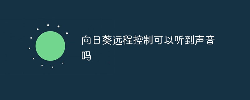 向日葵远程控制可以听到声音吗