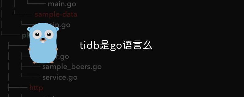 tidb是go语言么