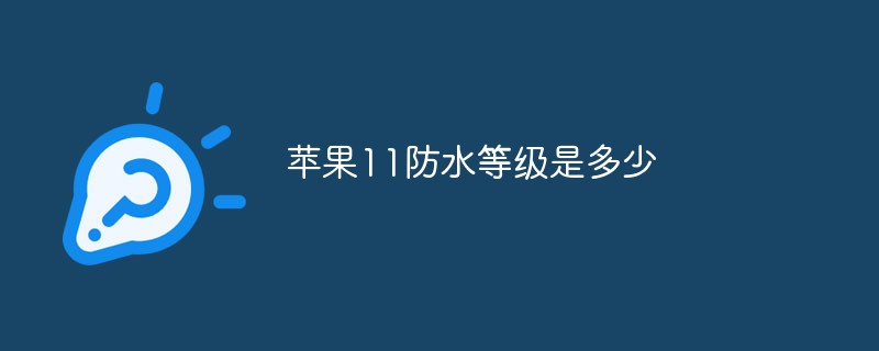 苹果11防水等级是多少