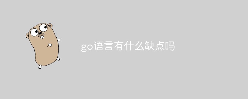 go语言有什么缺点吗