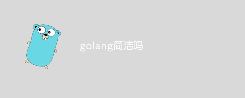 golang简洁吗