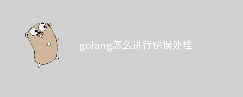 golang怎么进行错误处理
