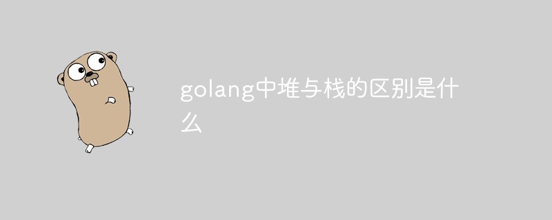 golang中堆与栈的区别是什么
