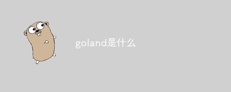 goland是什么