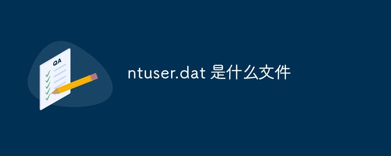 ntuser.dat 是什么文件